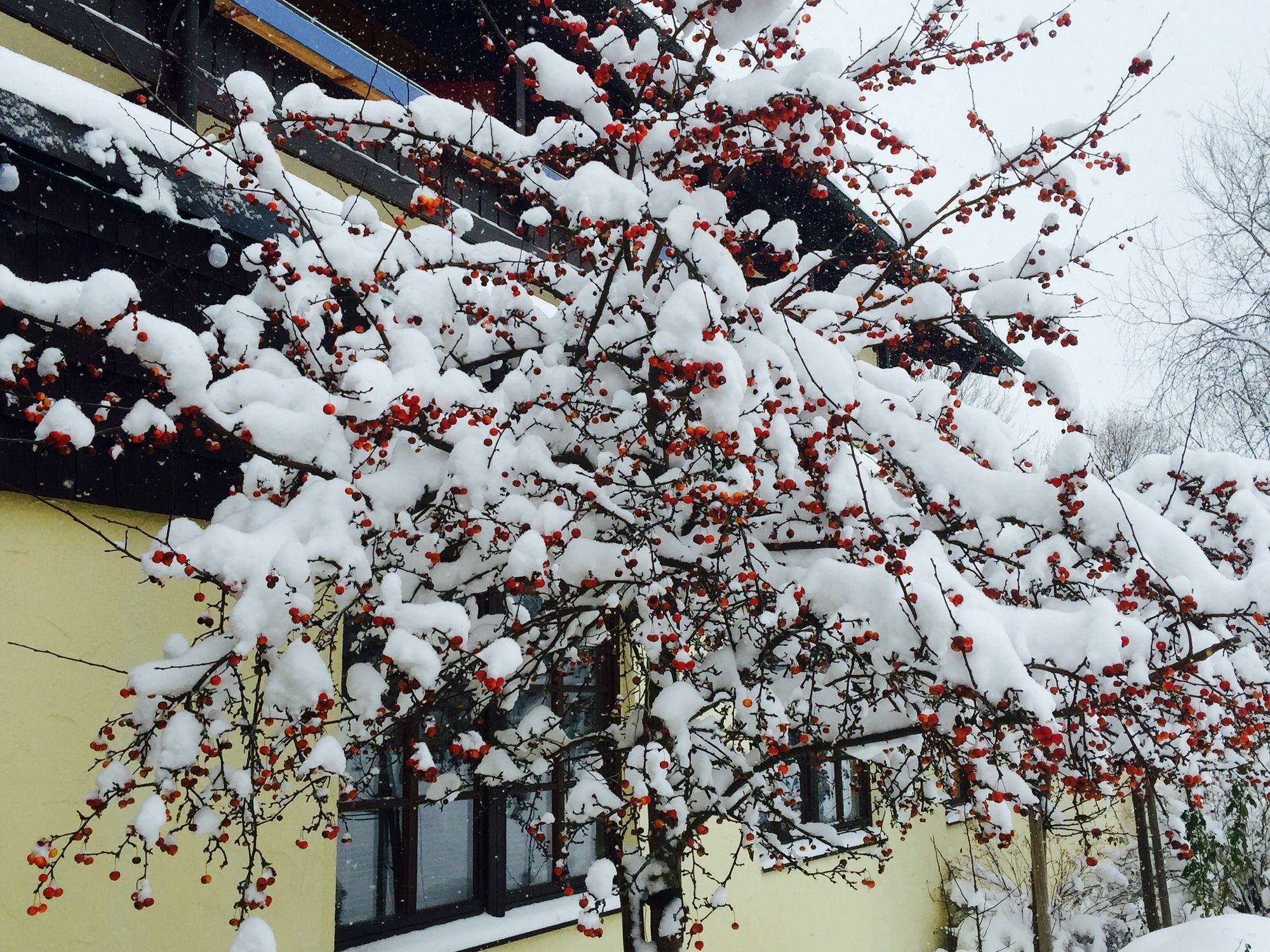 Das Wiesgauer - Alpenhotel Inzell Εξωτερικό φωτογραφία